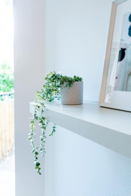 Grape Apartment Bratislava Ngoại thất bức ảnh