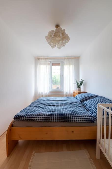 Grape Apartment Bratislava Ngoại thất bức ảnh
