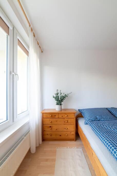 Grape Apartment Bratislava Ngoại thất bức ảnh