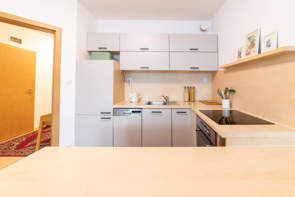 Grape Apartment Bratislava Ngoại thất bức ảnh