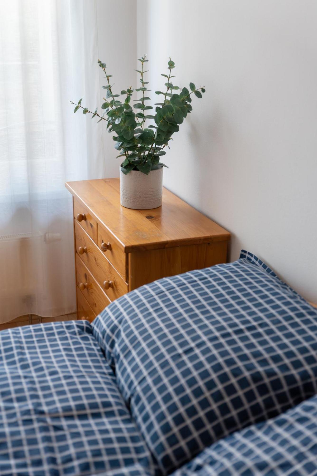 Grape Apartment Bratislava Ngoại thất bức ảnh